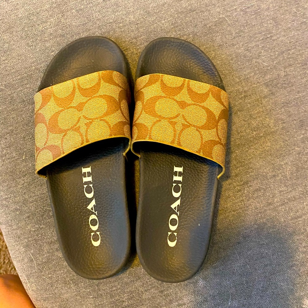 CoAch slides